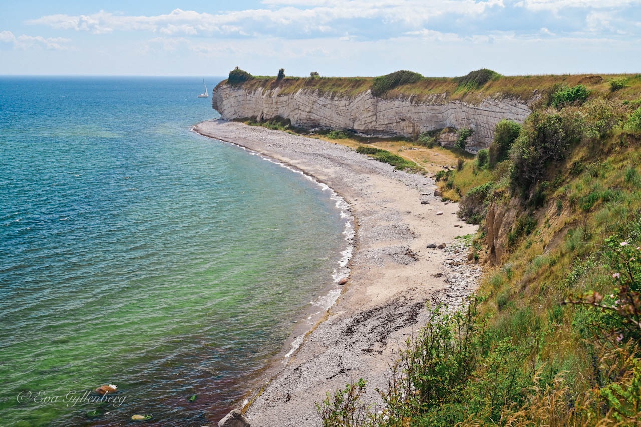 Storslagna vyer över turkost hav och de vita klipporna vid Stevns Klint