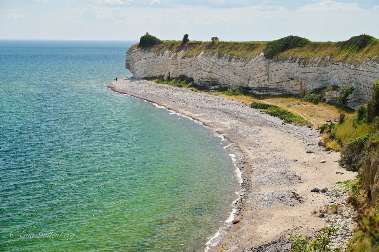 Stevns Klint