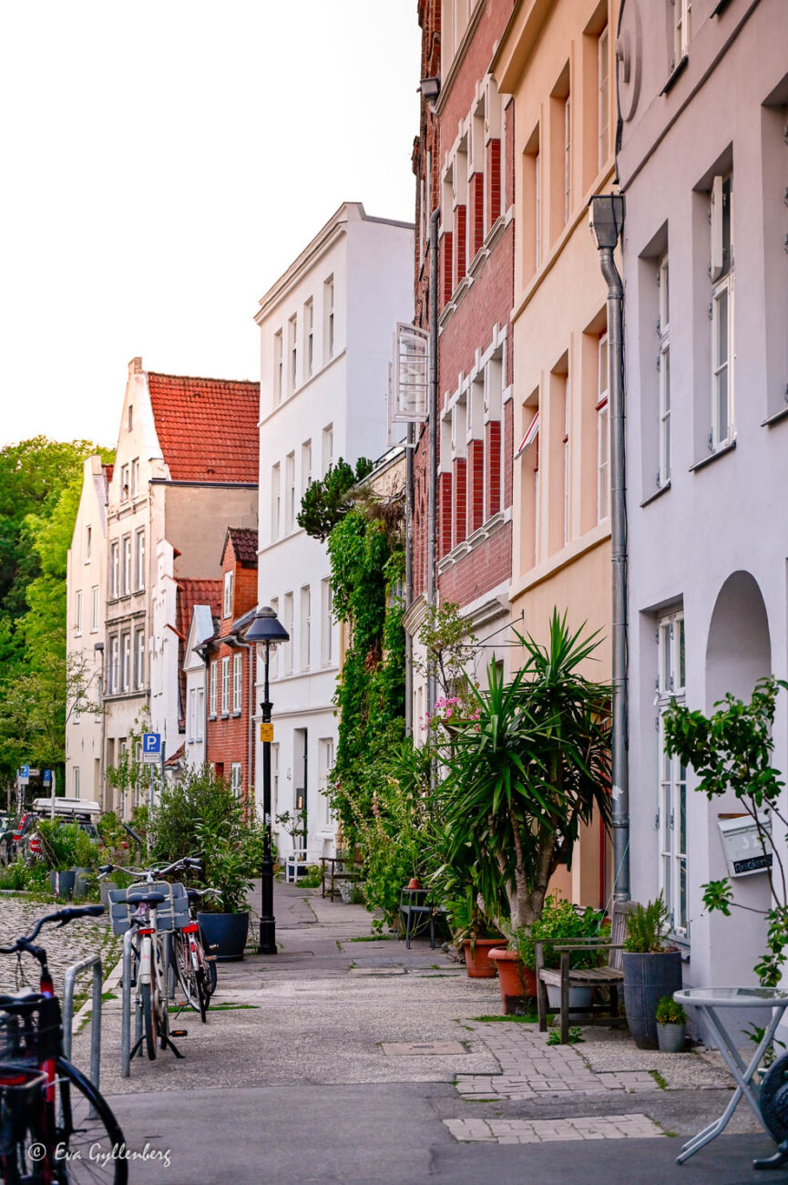 Grönskande sommargator i Lübeck