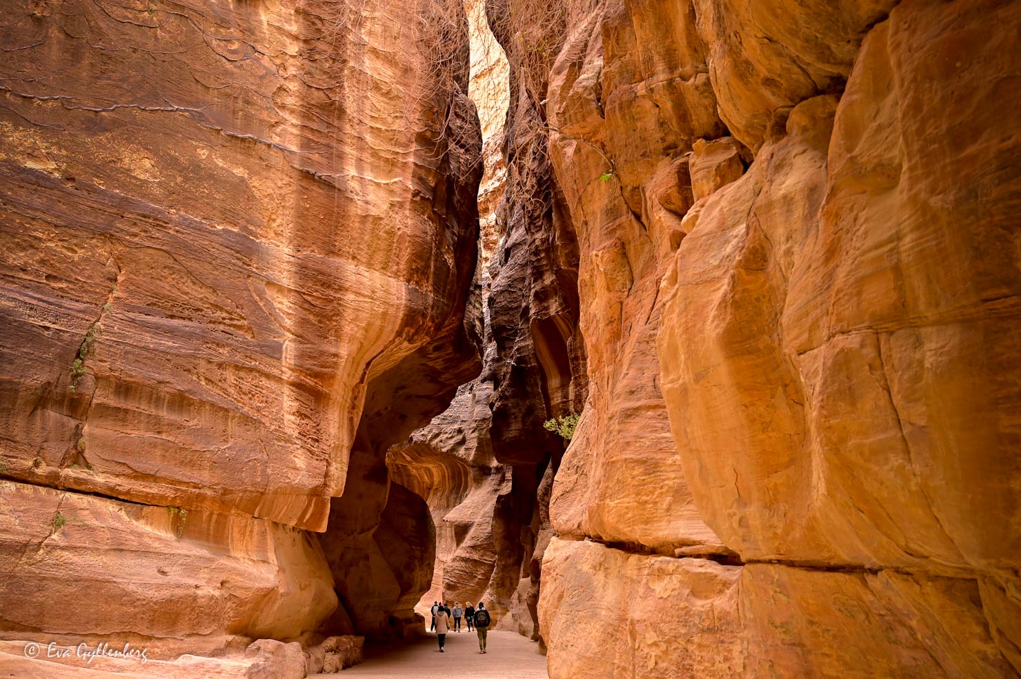 Ravine The Siq