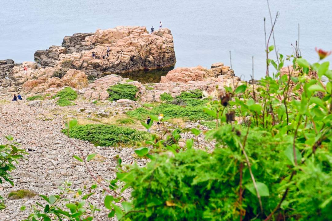 Branta badklippor i Hovs hallar med badande turister som hoppar från klipporna