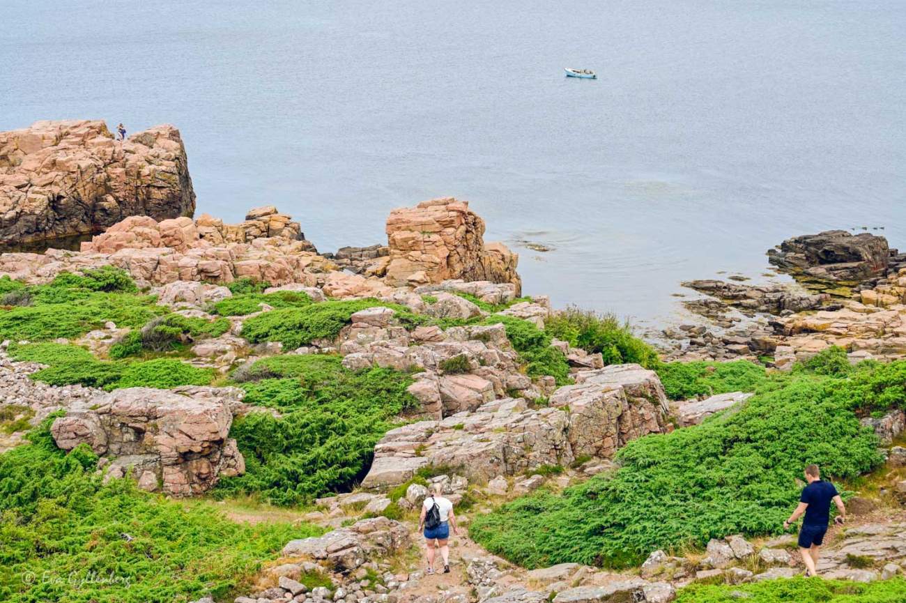 Kvinna vandrar ner mot havet vid klipporna vid Laholmsbukten