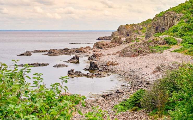Hovs hallar - Bjärekustens naturreservat - Skåne