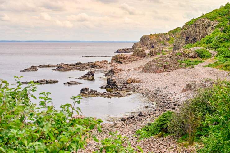 Hovs hallar - Bjärekustens naturreservat - Skåne