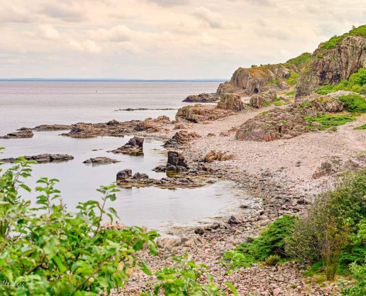 Hovs hallar - Bjärekustens naturreservat - Skåne