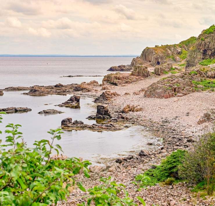Hovs hallar - Bjärekustens naturreservat - Skåne