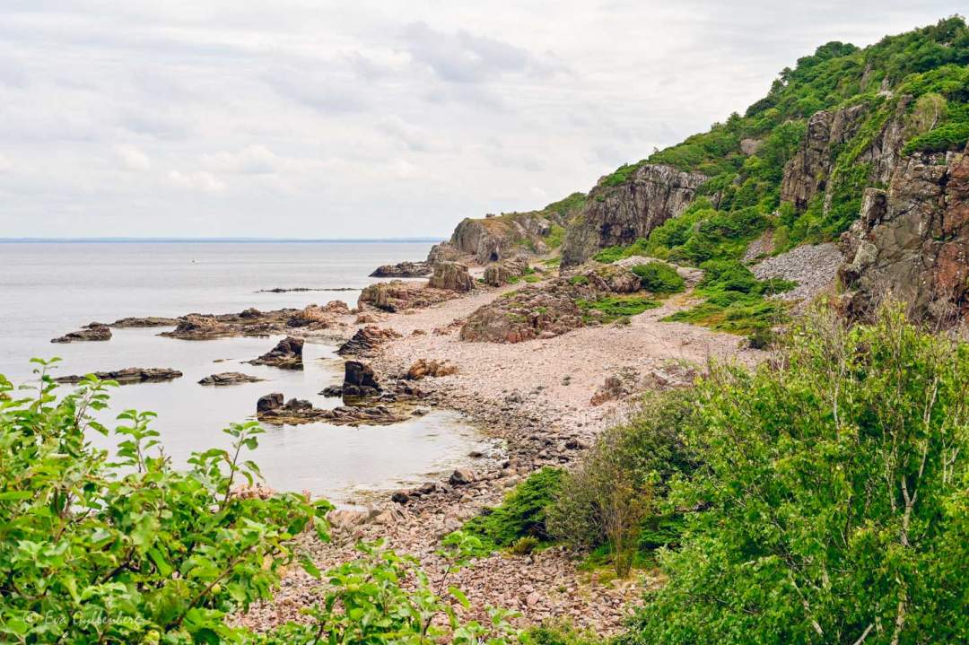Strand med rosa klippor vid Hovs Hallar