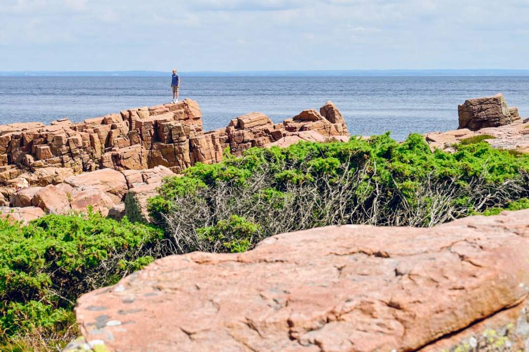 Pojke står på en klippa vid Bjärekusten