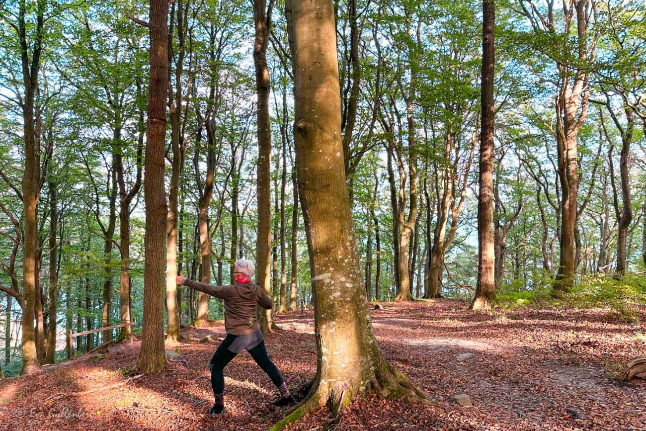 En kvinna gör skogsyoga i en grön skog