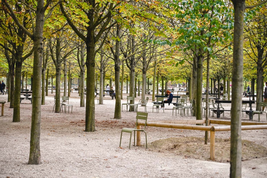 Jardin du Luxembourg