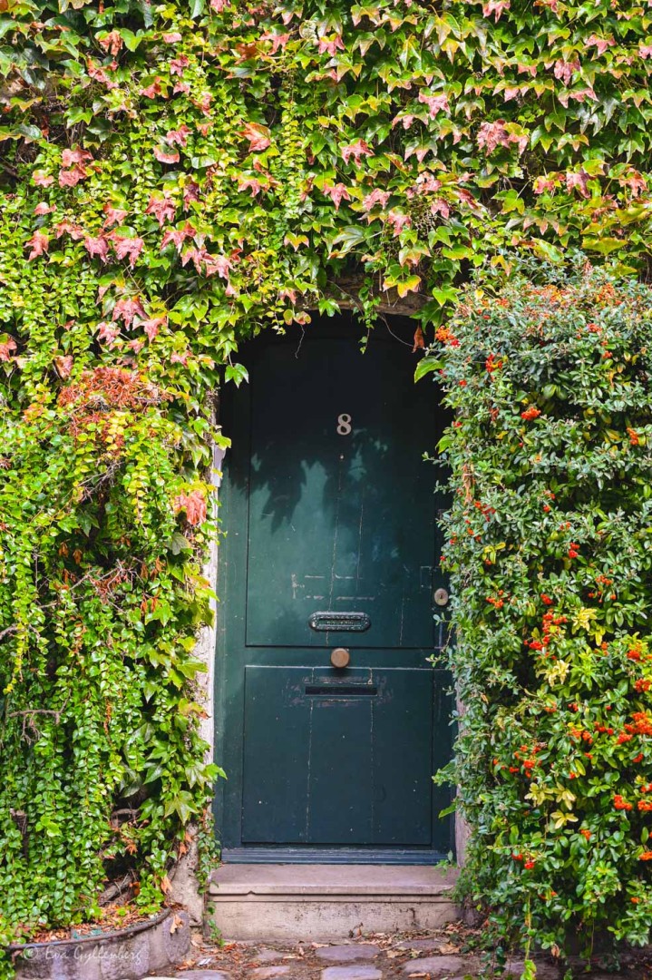 Grönskande dörr i Montmartre