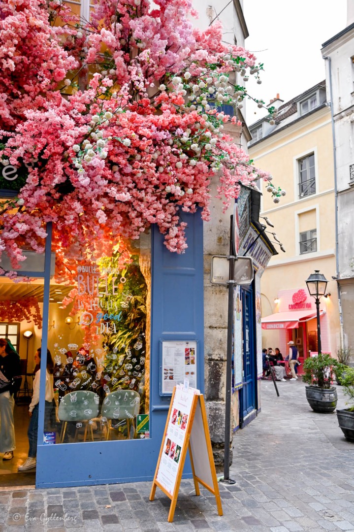 Rosa blommor vid butik i Rue des Rosiers