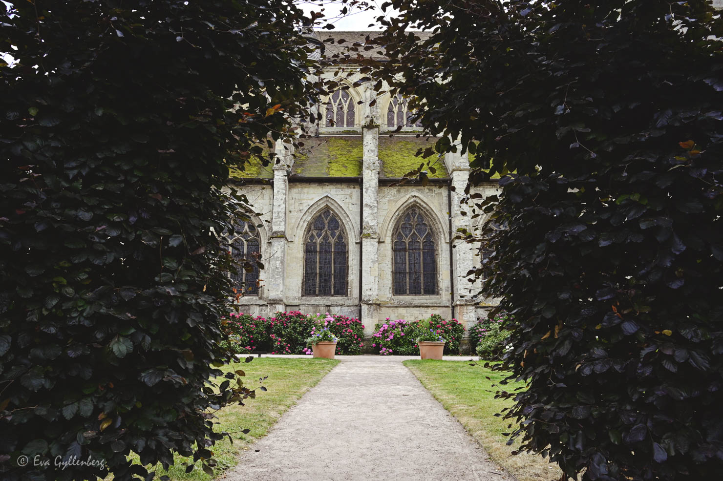 Kyrka genom buskage i Normandie