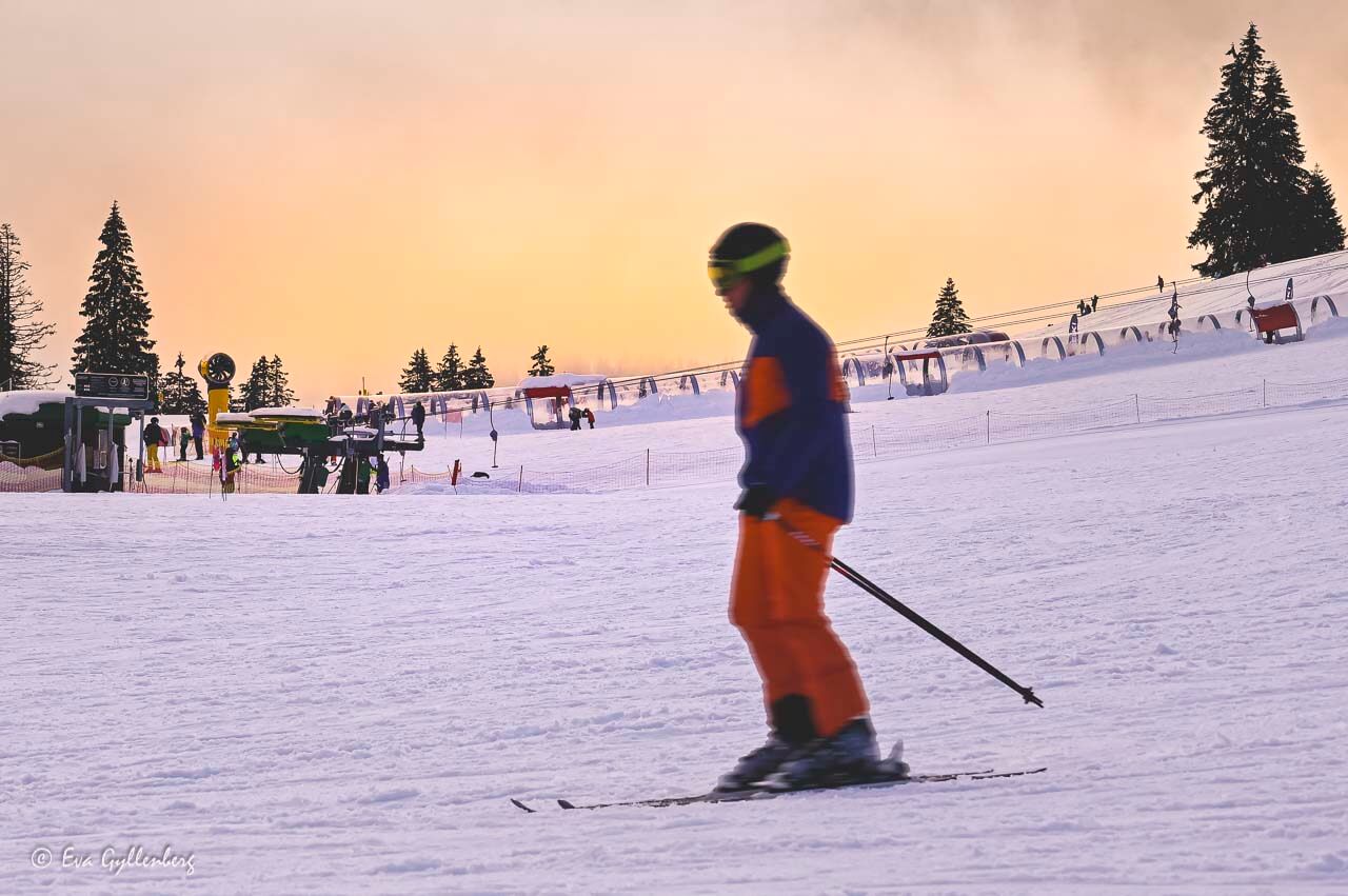 Skidåkare i Schwarzwald i solnedgång