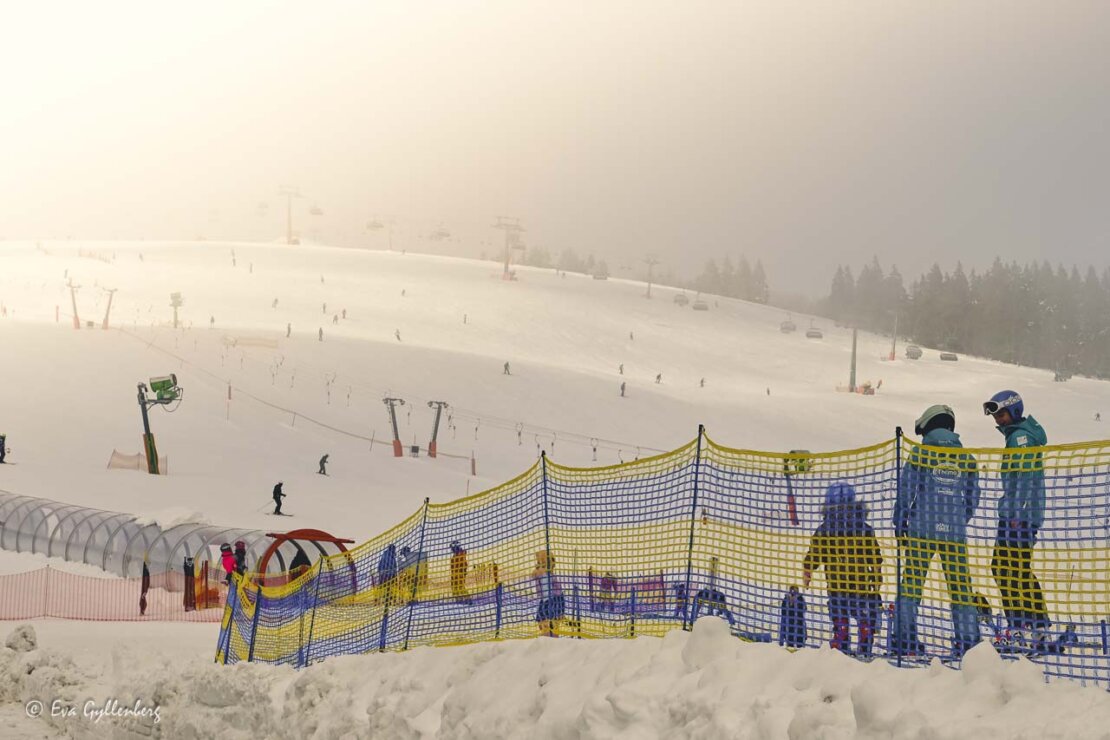 Skidbacke i Feldberg i dimma