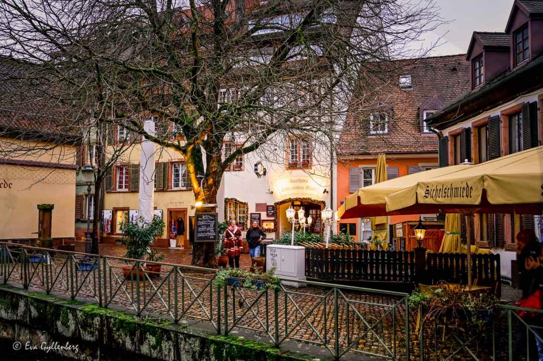 Två personer promenerar under ett stort träd i ett restaurangkvarter