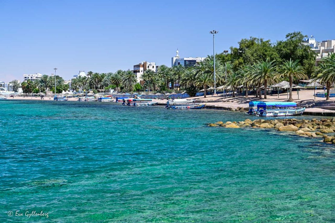 Den publika stranden med dess palmer och klara vatten