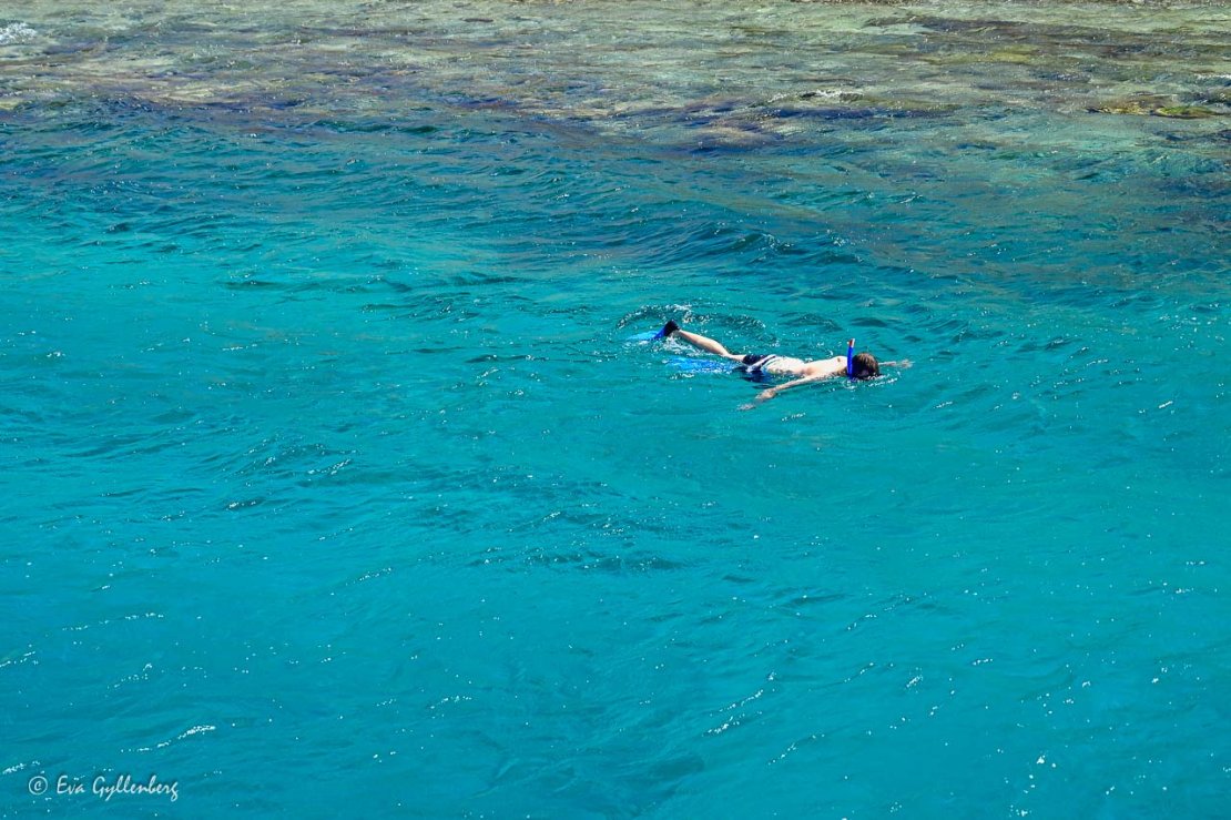 Man snorklar i Röda havet