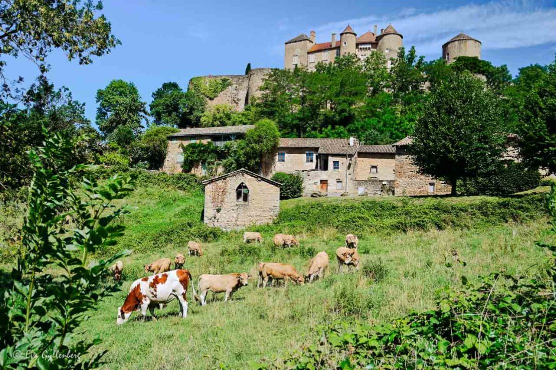 Kor betar nedanför Forteresse de Berzé