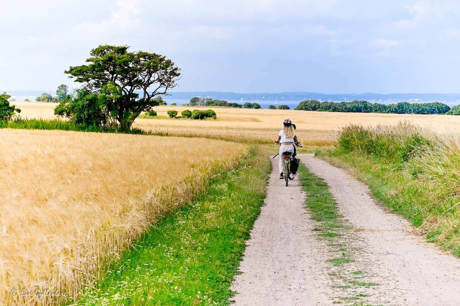 Cycling on Ven