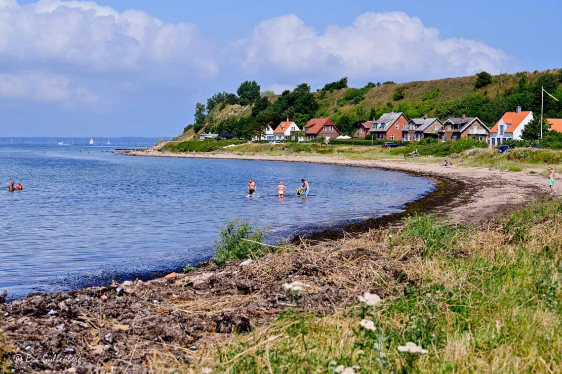 Havsbukt med trähus och badande människor
