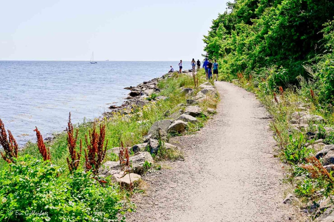 Cykelled precis vid havet