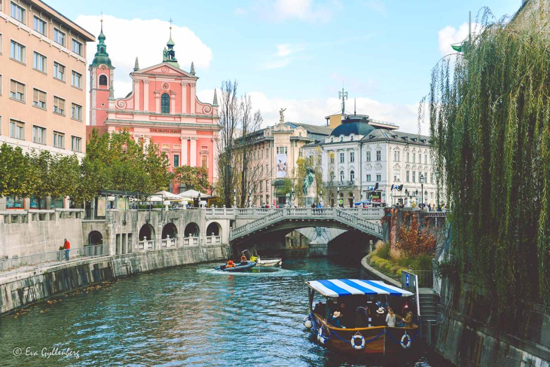 Vacker vy över Ljubljana och floden Ljubljanica med en rosa kyrka, vit bro och många båtar.