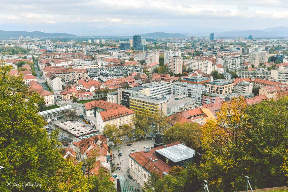 en stad i Slovenien från ovan en höstdag
