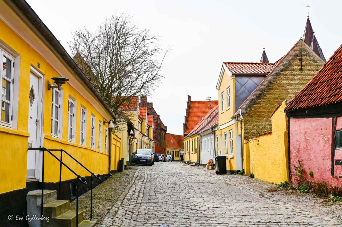Medeltida gata med färgglada hus och kullerstensgata