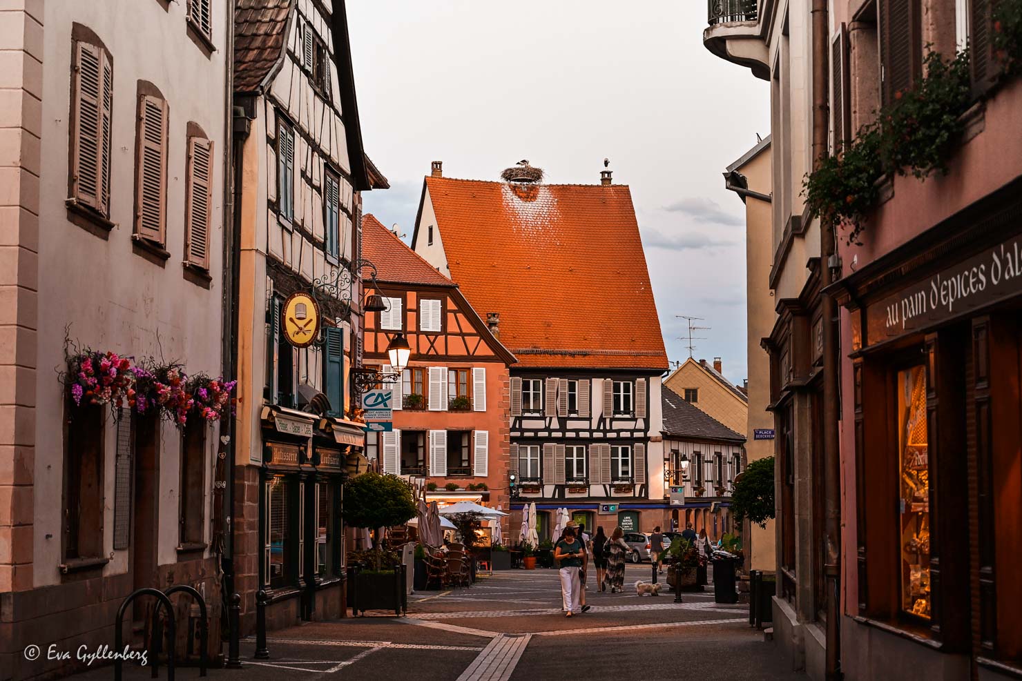storkar på rött tegeltak i en by i Alsace