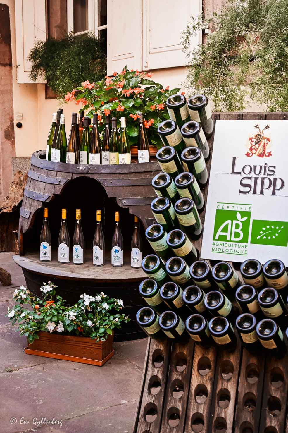 Vin i Ribeauville på Louis Sipp
