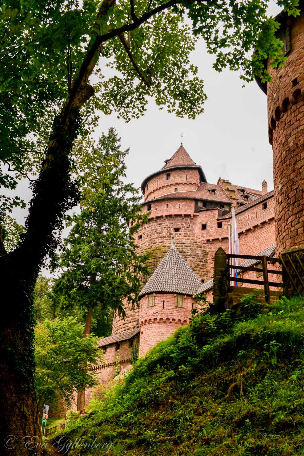 Château du Haut-Koenigsbourg